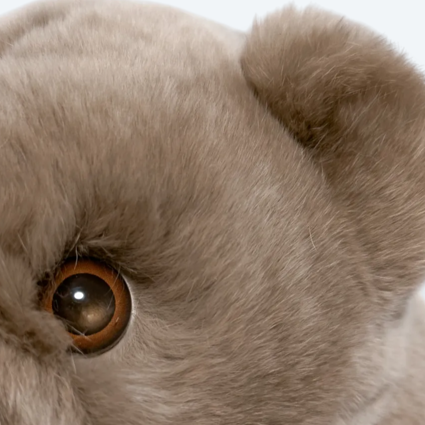 Artisan Handmade Sandy Beige Teddy Bear – Luxury Rex Rabbit Fur Designer Plush