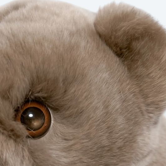 Artisan Handmade Sandy Beige Teddy Bear – Luxury Rex Rabbit Fur Designer Plush